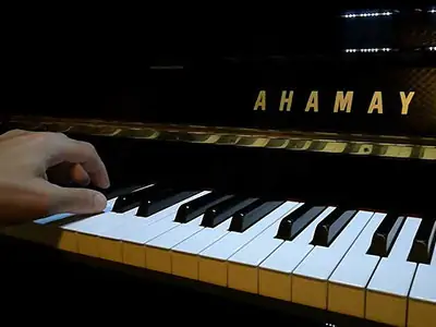 The Piano... my Instrument par excellence The Piano... my Instrument par excellence